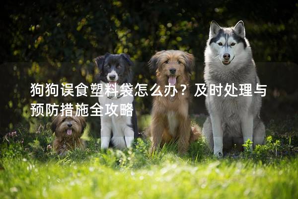 狗狗误食塑料袋怎么办？及时处理与预防措施全攻略