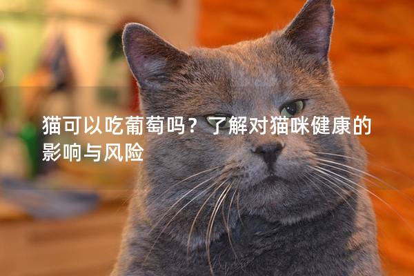 猫可以吃葡萄吗？了解对猫咪健康的影响与风险