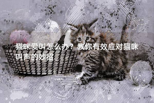 猫咪爱叫怎么办？教你有效应对猫咪叫声的妙招