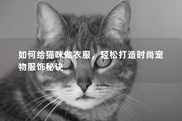 如何给猫咪做衣服，轻松打造时尚宠物服饰秘诀