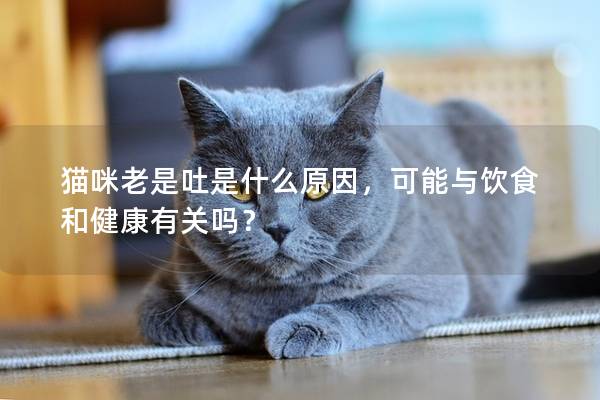 猫咪老是吐是什么原因，可能与饮食和健康有关吗？