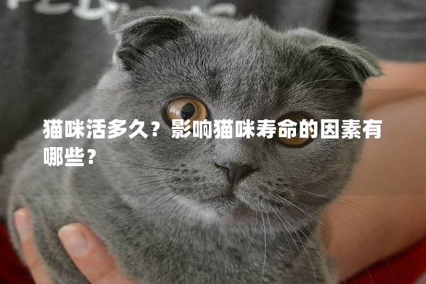 猫咪活多久？影响猫咪寿命的因素有哪些？