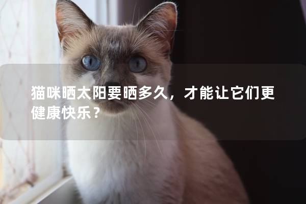 猫咪晒太阳要晒多久，才能让它们更健康快乐？