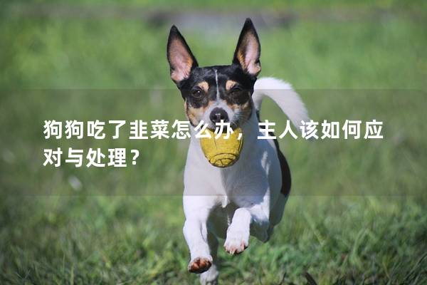 狗狗吃了韭菜怎么办，主人该如何应对与处理？