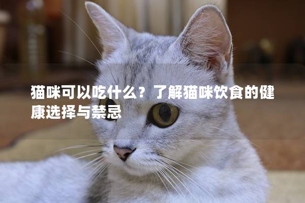 猫咪可以吃什么？了解猫咪饮食的健康选择与禁忌