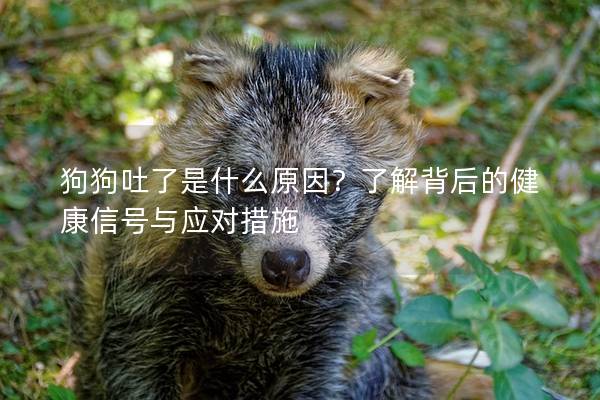 狗狗吐了是什么原因？了解背后的健康信号与应对措施