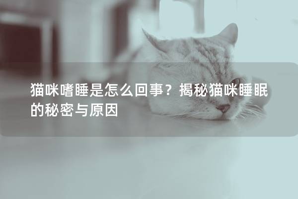 猫咪嗜睡是怎么回事？揭秘猫咪睡眠的秘密与原因