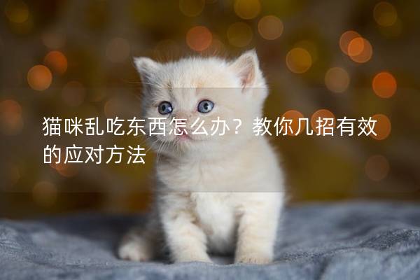 猫咪乱吃东西怎么办？教你几招有效的应对方法