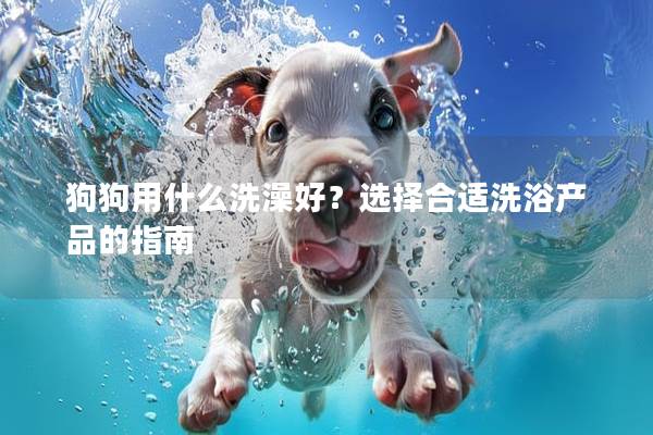 狗狗用什么洗澡好？选择合适洗浴产品的指南