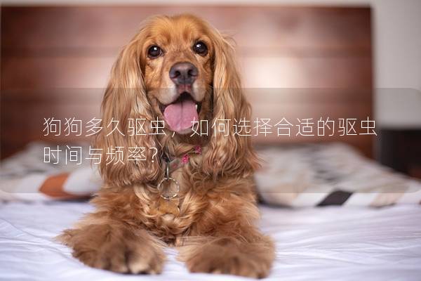 狗狗多久驱虫，如何选择合适的驱虫时间与频率？