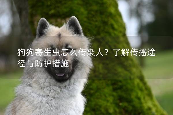 狗狗寄生虫怎么传染人？了解传播途径与防护措施