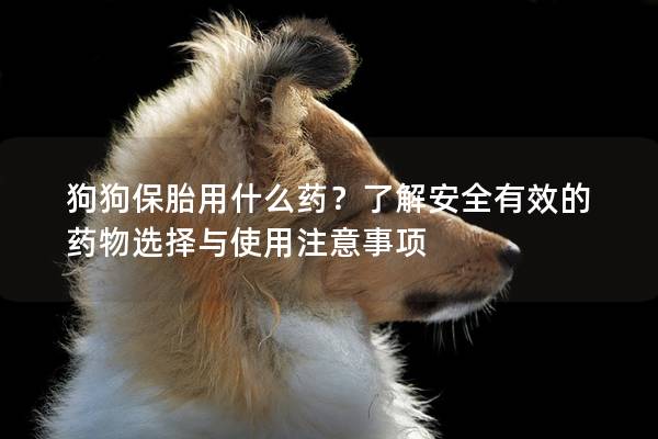 狗狗保胎用什么药？了解安全有效的药物选择与使用注意事项