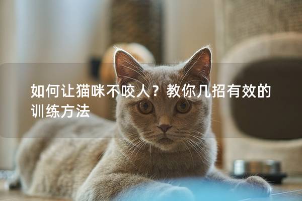 如何让猫咪不咬人？教你几招有效的训练方法