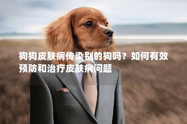 狗狗皮肤病传染别的狗吗？如何有效预防和治疗皮肤病问题