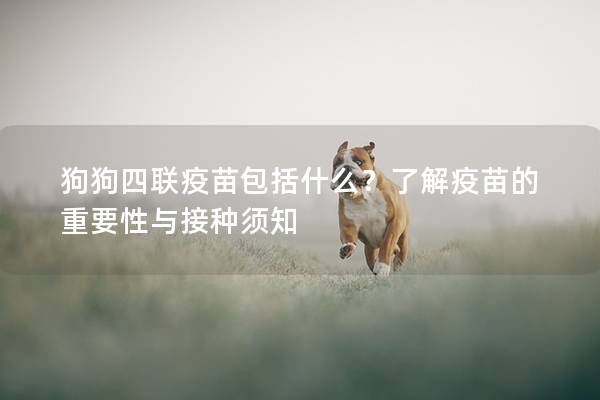 狗狗四联疫苗包括什么？了解疫苗的重要性与接种须知