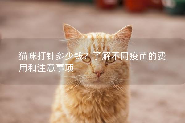 猫咪打针多少钱？了解不同疫苗的费用和注意事项