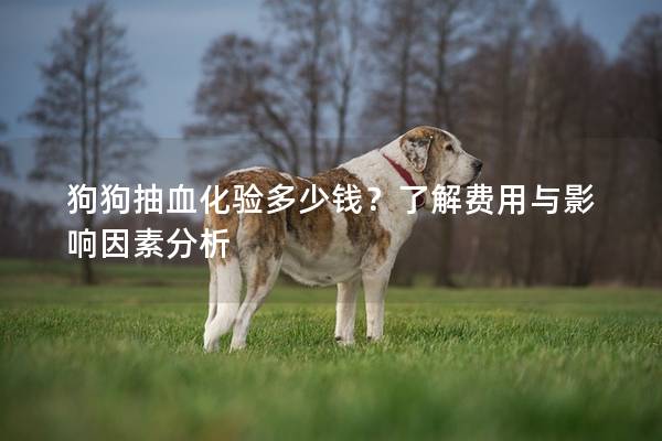 狗狗抽血化验多少钱？了解费用与影响因素分析