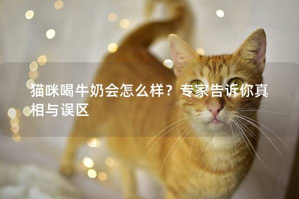 猫咪喝牛奶会怎么样？专家告诉你真相与误区