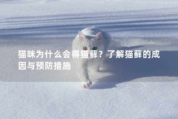 猫咪为什么会得猫藓？了解猫藓的成因与预防措施