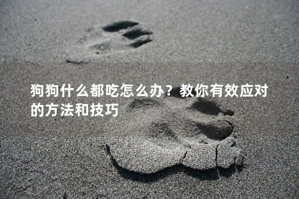 狗狗什么都吃怎么办？教你有效应对的方法和技巧