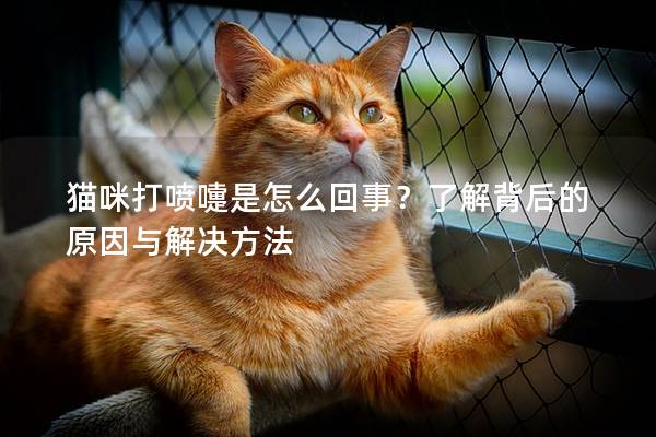 猫咪打喷嚏是怎么回事？了解背后的原因与解决方法