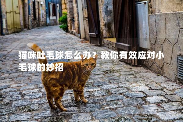 猫咪吐毛球怎么办？教你有效应对小毛球的妙招