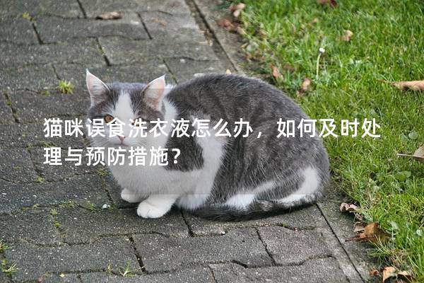 猫咪误食洗衣液怎么办，如何及时处理与预防措施？