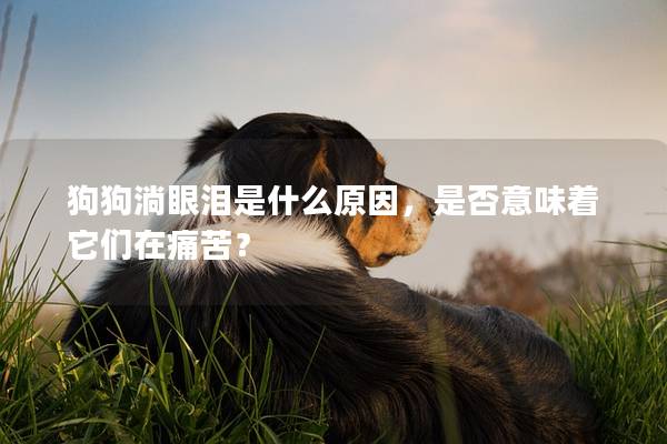 狗狗淌眼泪是什么原因，是否意味着它们在痛苦？