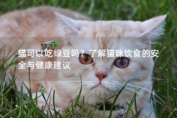 猫可以吃绿豆吗？了解猫咪饮食的安全与健康建议