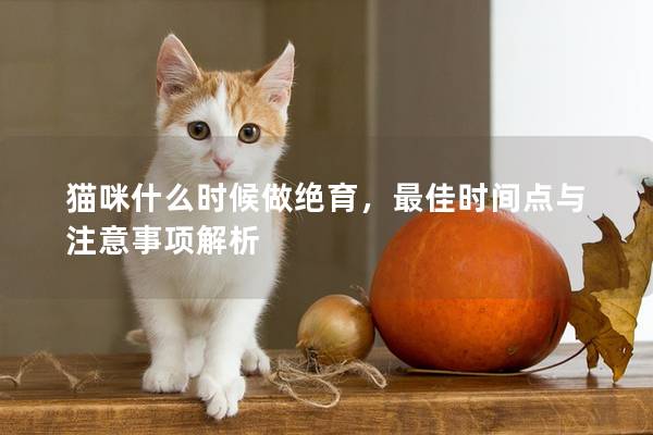 猫咪什么时候做绝育，最佳时间点与注意事项解析