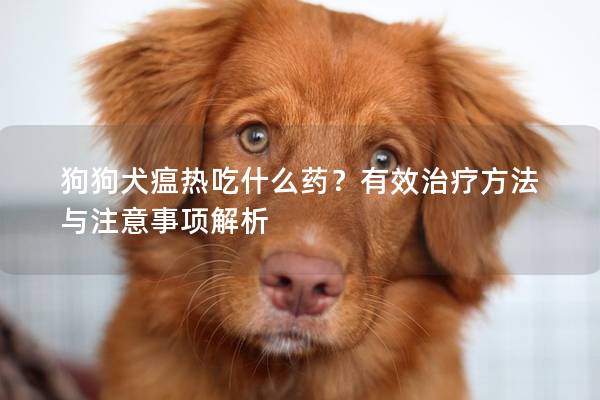 狗狗犬瘟热吃什么药？有效治疗方法与注意事项解析