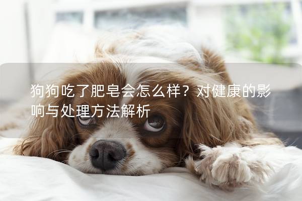 狗狗吃了肥皂会怎么样？对健康的影响与处理方法解析