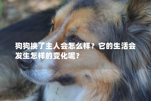 狗狗换了主人会怎么样？它的生活会发生怎样的变化呢？