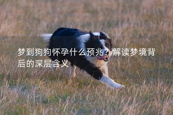 梦到狗狗怀孕什么预兆？解读梦境背后的深层含义