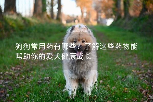 狗狗常用药有哪些？了解这些药物能帮助你的爱犬健康成长