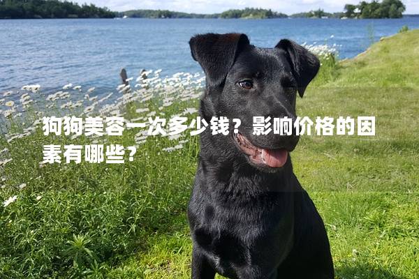 狗狗美容一次多少钱？影响价格的因素有哪些？