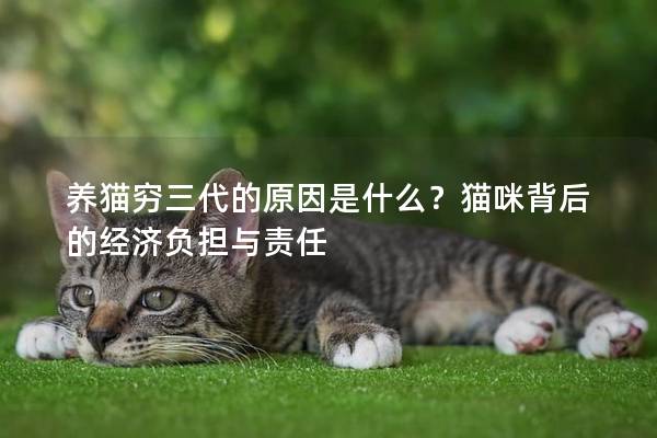 养猫穷三代的原因是什么？猫咪背后的经济负担与责任