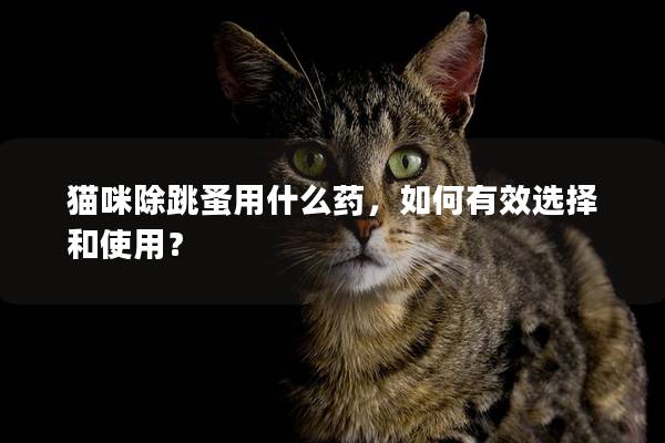 猫咪除跳蚤用什么药，如何有效选择和使用？