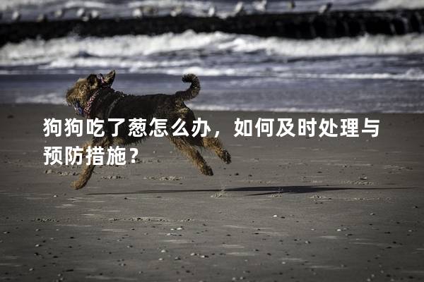 狗狗吃了葱怎么办，如何及时处理与预防措施？