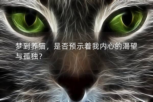 梦到养猫，是否预示着我内心的渴望与孤独？