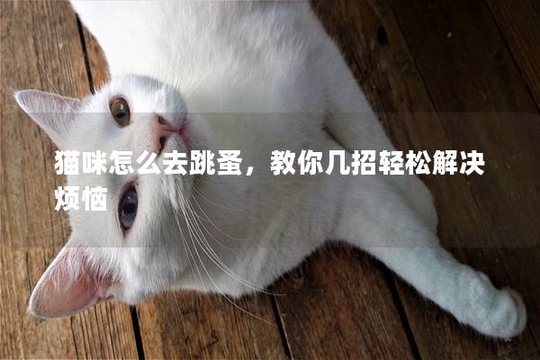 猫咪怎么去跳蚤，教你几招轻松解决烦恼