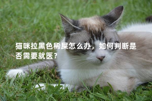 猫咪拉黑色稀屎怎么办，如何判断是否需要就医？