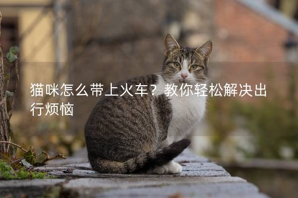 猫咪怎么带上火车？教你轻松解决出行烦恼