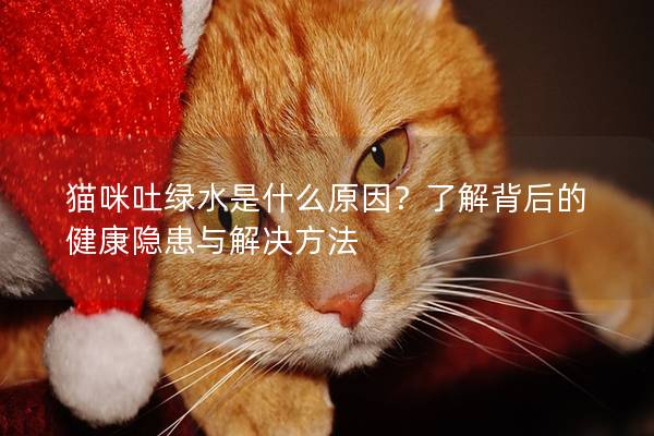 猫咪吐绿水是什么原因？了解背后的健康隐患与解决方法