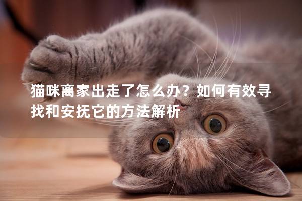 猫咪离家出走了怎么办？如何有效寻找和安抚它的方法解析