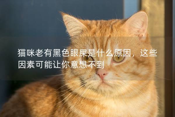 猫咪老有黑色眼屎是什么原因，这些因素可能让你意想不到