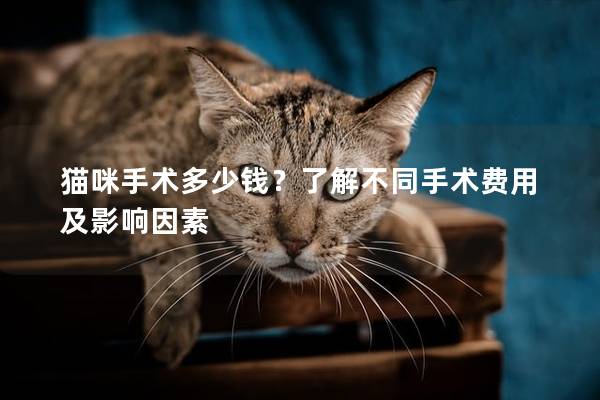 猫咪手术多少钱？了解不同手术费用及影响因素