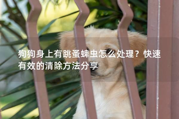 狗狗身上有跳蚤蜱虫怎么处理？快速有效的清除方法分享