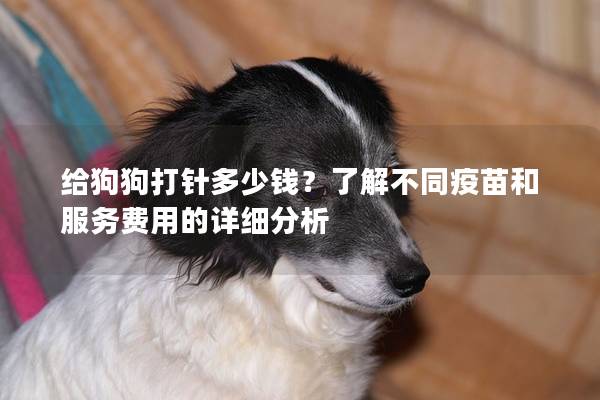 给狗狗打针多少钱？了解不同疫苗和服务费用的详细分析