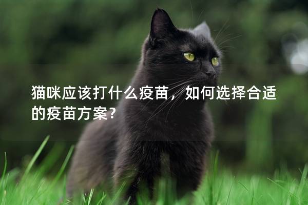 猫咪应该打什么疫苗，如何选择合适的疫苗方案？